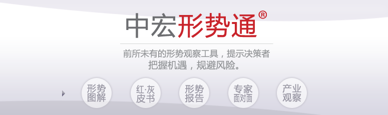 中宏形势通 形势图解 红皮书 灰皮书 形势报告 专家面对面 产业观察